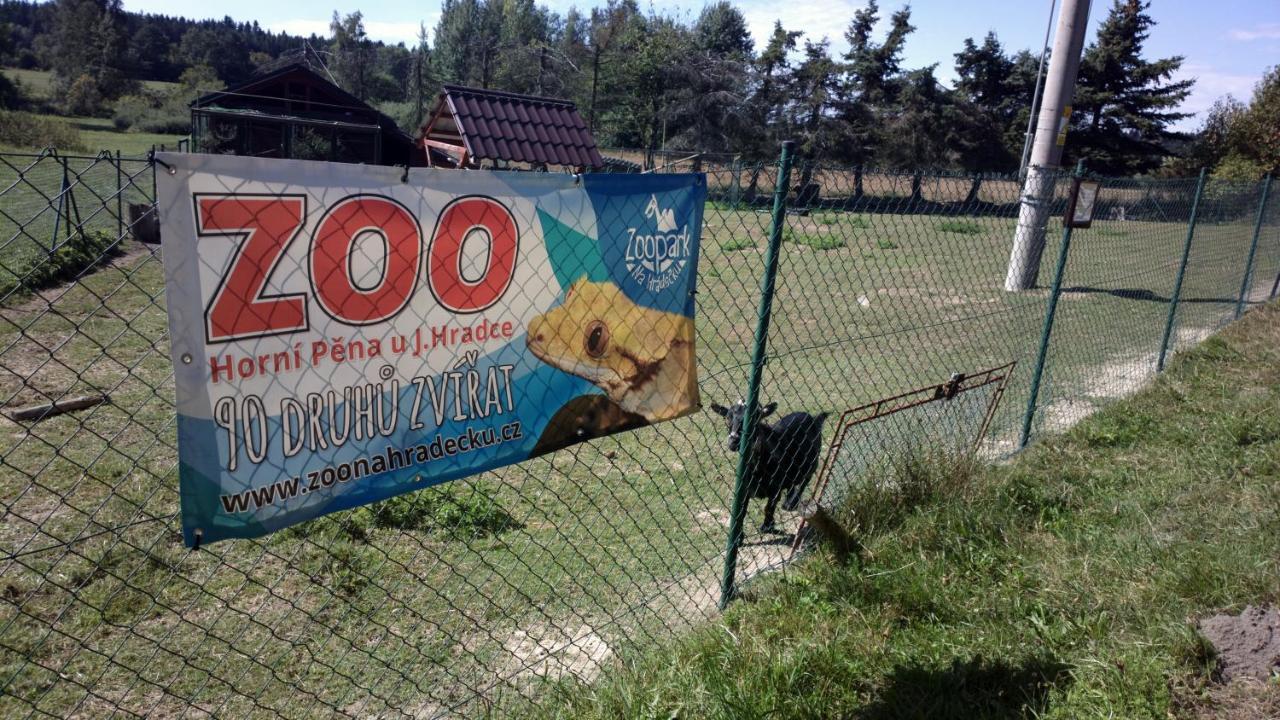 Penzion Lada Nová Bystřice Екстериор снимка